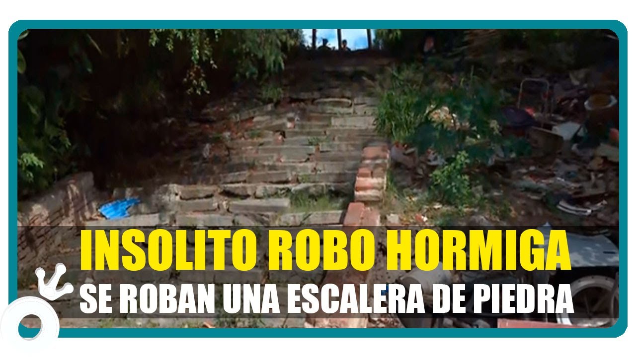INSOLITO robo hormiga de una escalera de piedra