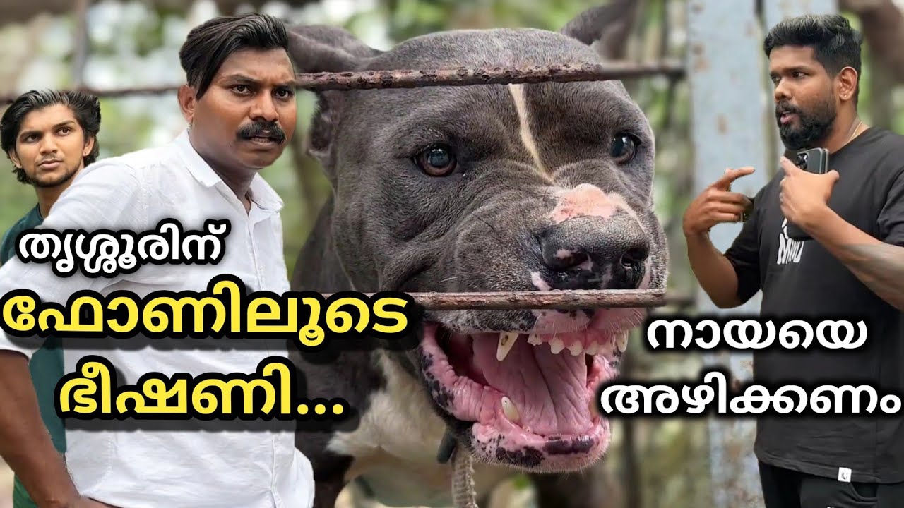 കടികൊള്ളാൻ വിളിച്ചുവരുത്തി.. Dog challenge.. Leash Talks