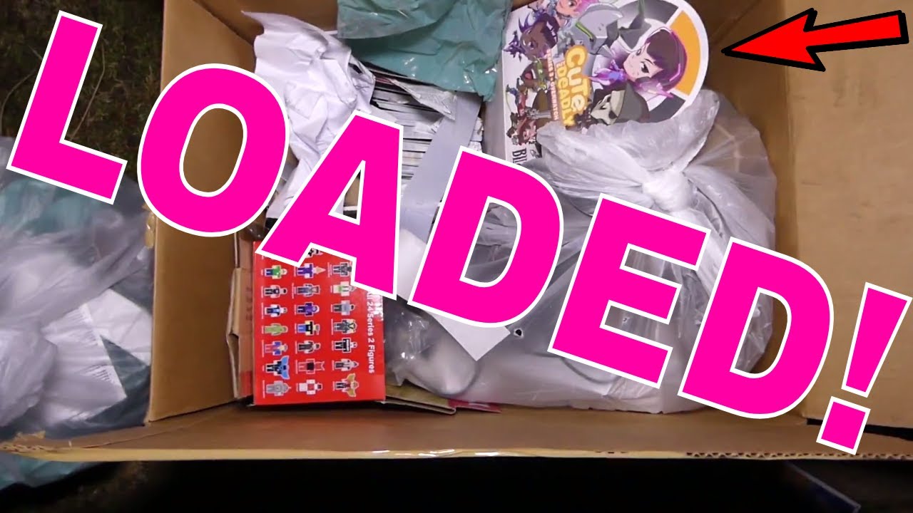 This BOX Is LOADED With GREAT STUFF!!! Dumpster Dive #444