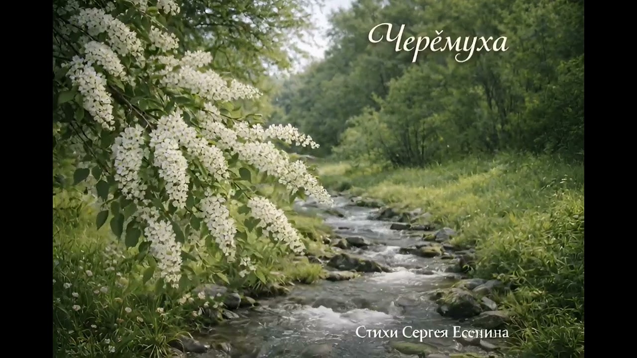 Черёмуха (Сергей Есенин)