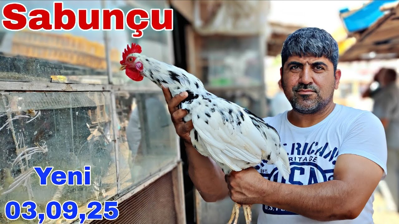 Sabunçu Toyuq Bazarı 3 avqust 2025 @mubarizemintv2271 