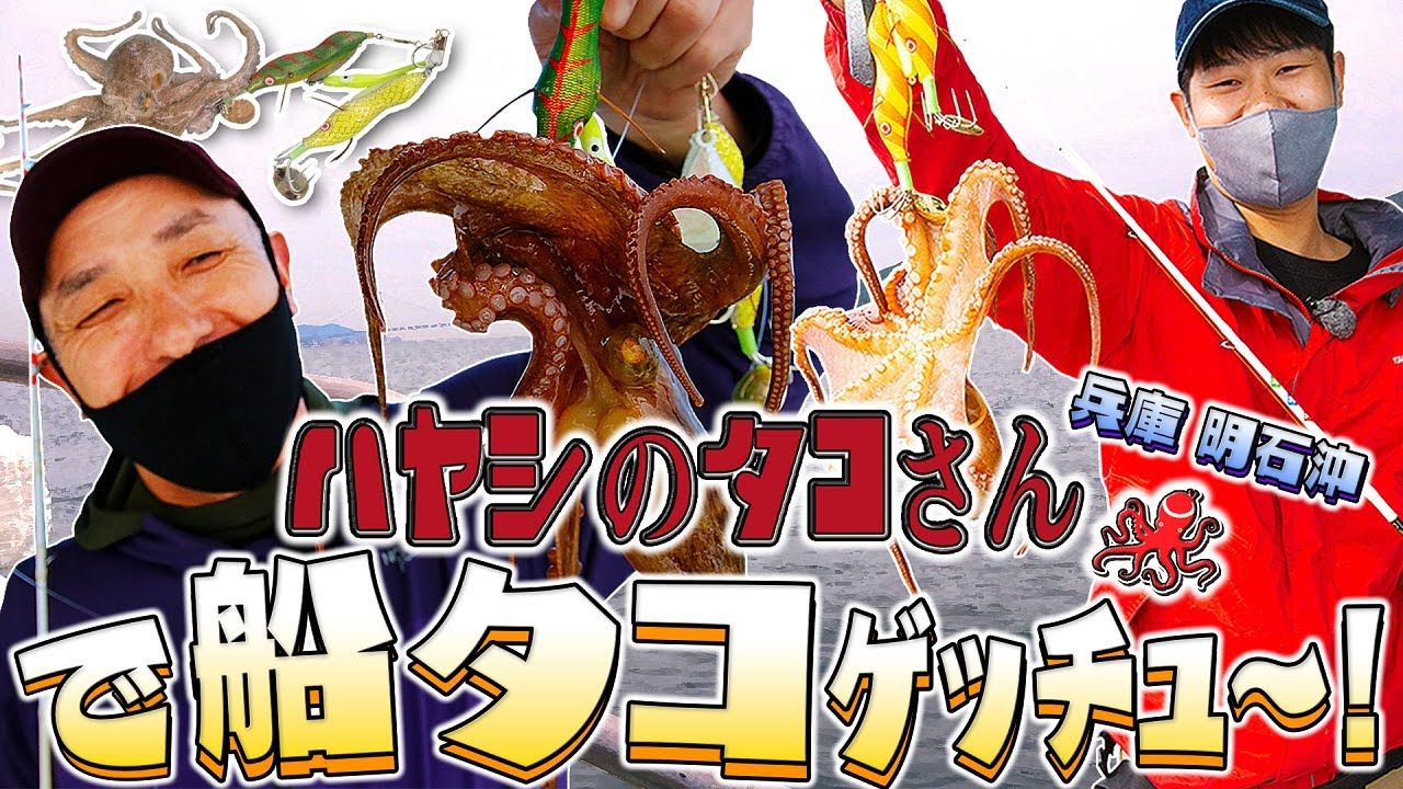【簡単＆楽しい！】ハヤシのタコさんで船タコゲッチュ～！in兵庫・明石沖