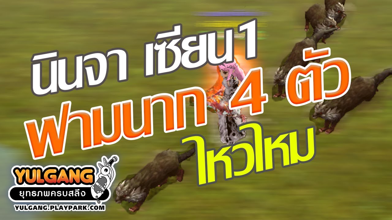 โยกัง นินจาเซียน1 ฟามนาก4ตัว ที่หุบเขาร้อยลี้