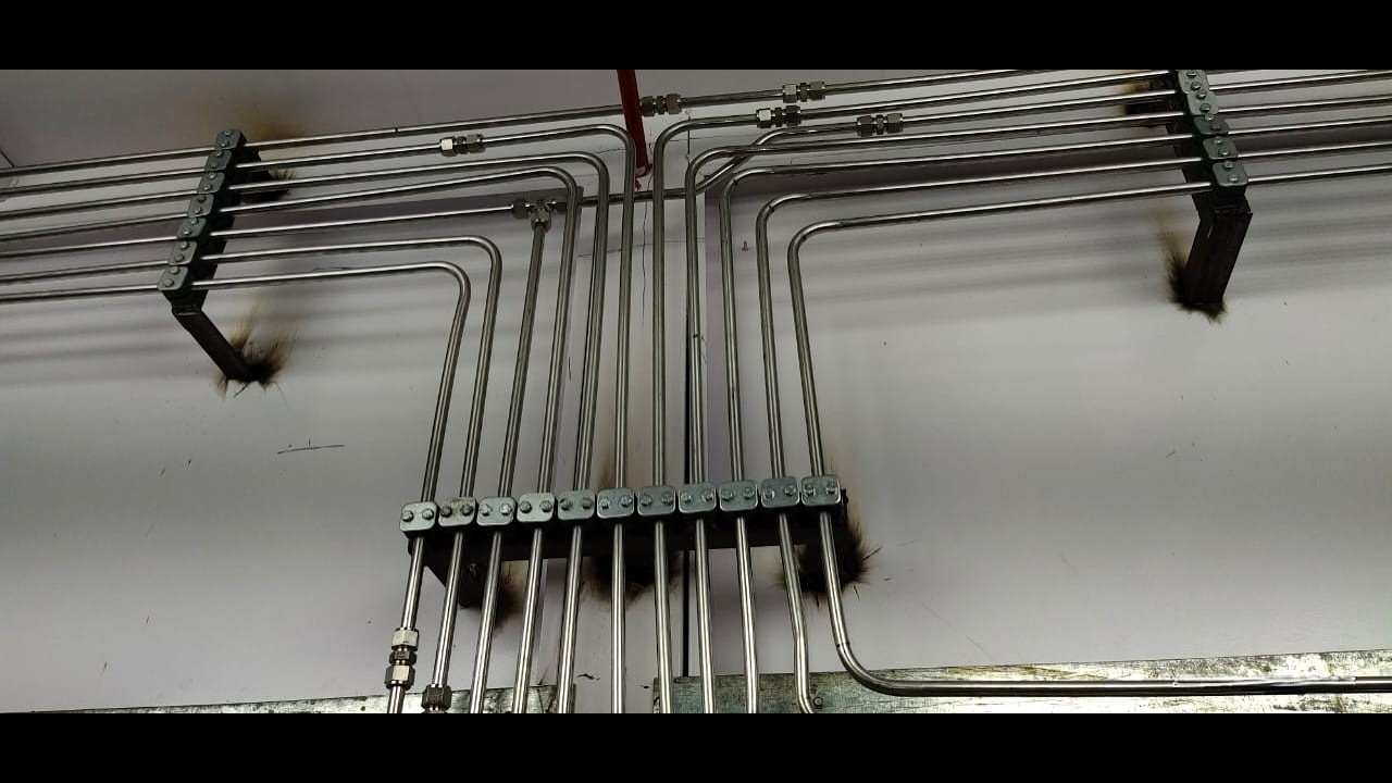 Paint Kitchen & Paint Circulation Piping