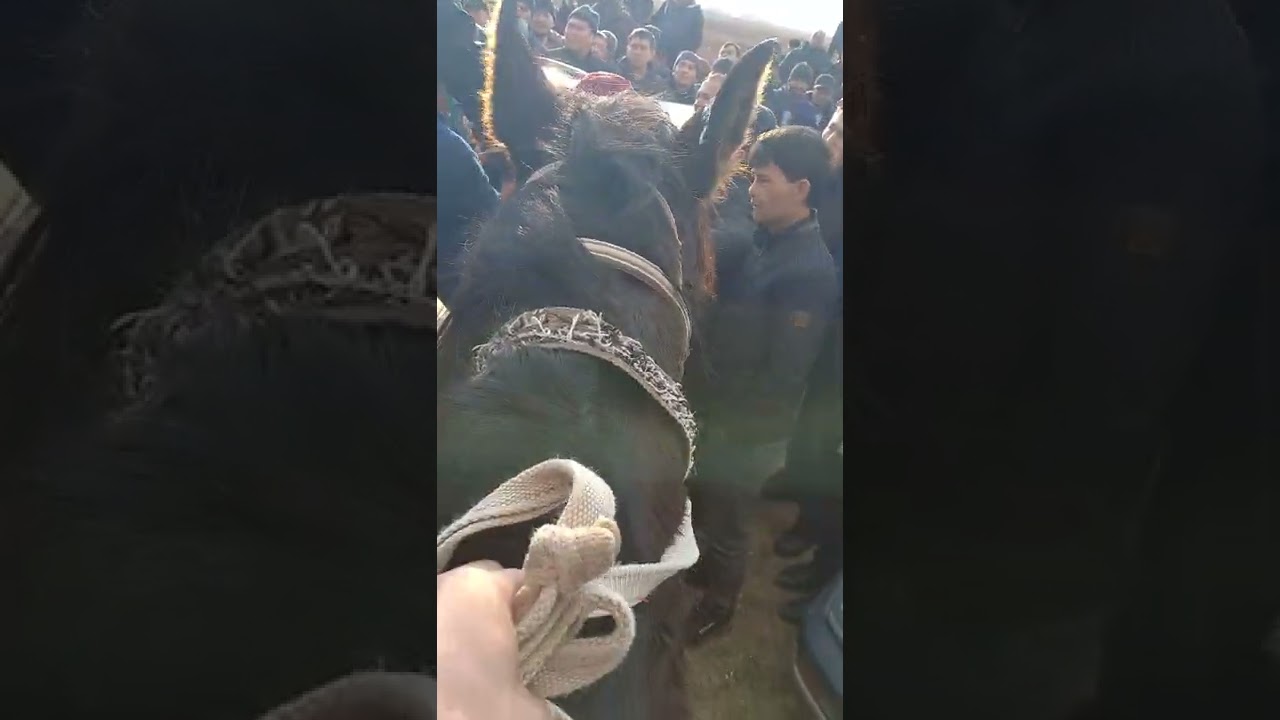 Гари палуан қамшының астында қалды