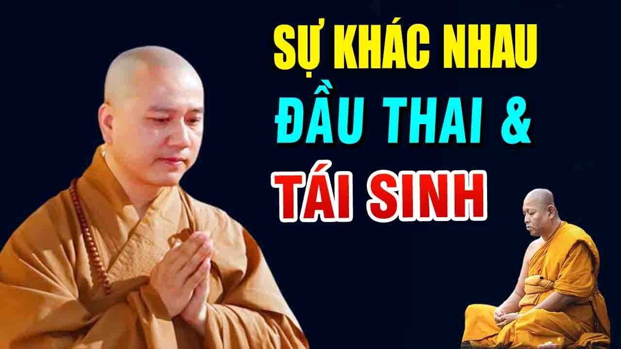 Sự khác nhau giữa ĐẦU THAI và TÁI SINH