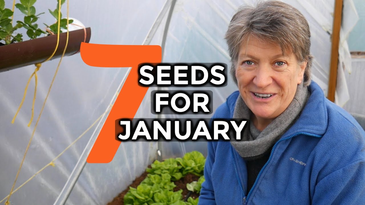 What to sow in JANUARY | 7 Easy To Grow Crops