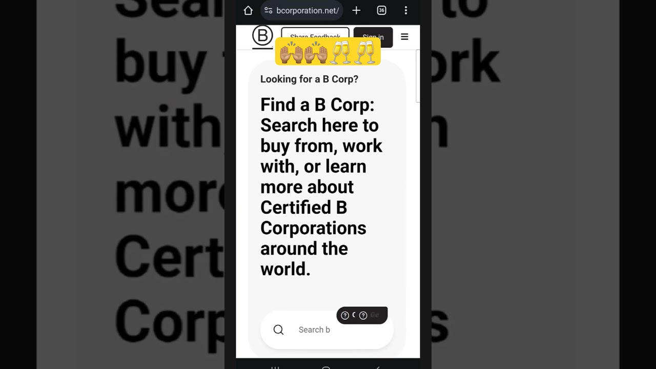 Celebrating B Corp Certification 