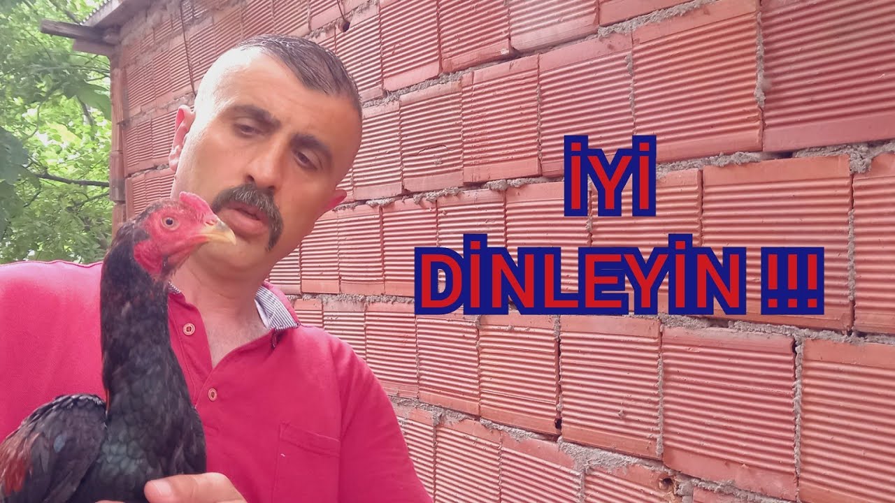 #91# YAVRULARINIZA KÜÇÜKKEN NOT VERMEYİN !!!!!