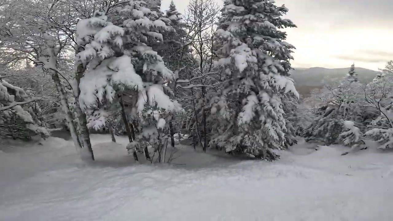 Powder Days - Upper River Quai to Vertigo - Jay Peak (2025)