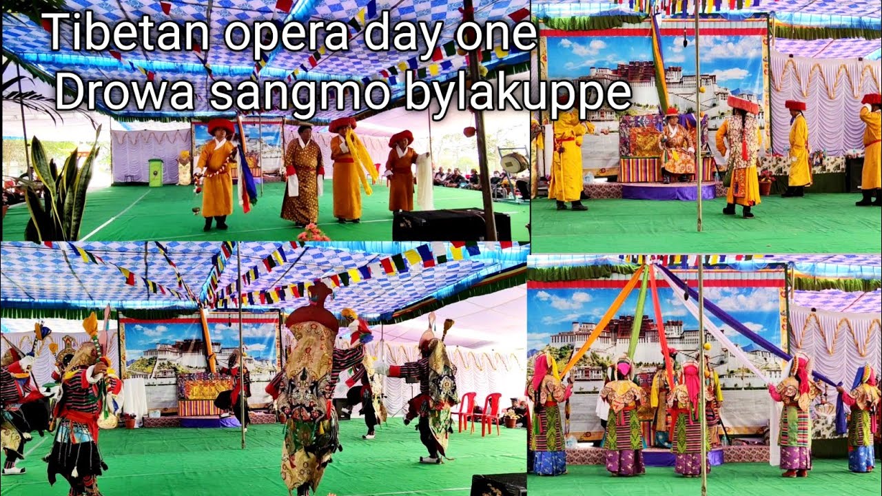 Tibetan opera day 1 Drowa sangmo bylakuppe #tibetanvlogger