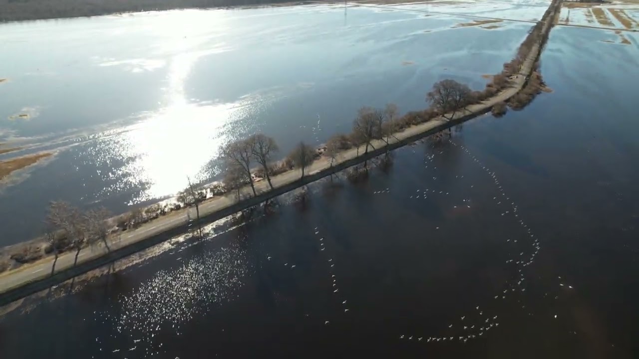 Sakūčių  kelias (2025-03-15) Lietuva (Lithuania)