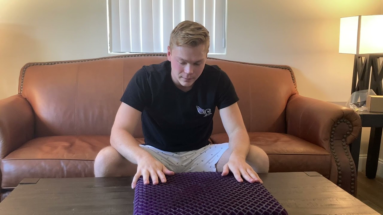 Purple Pillow Royal Seat Cushion review
