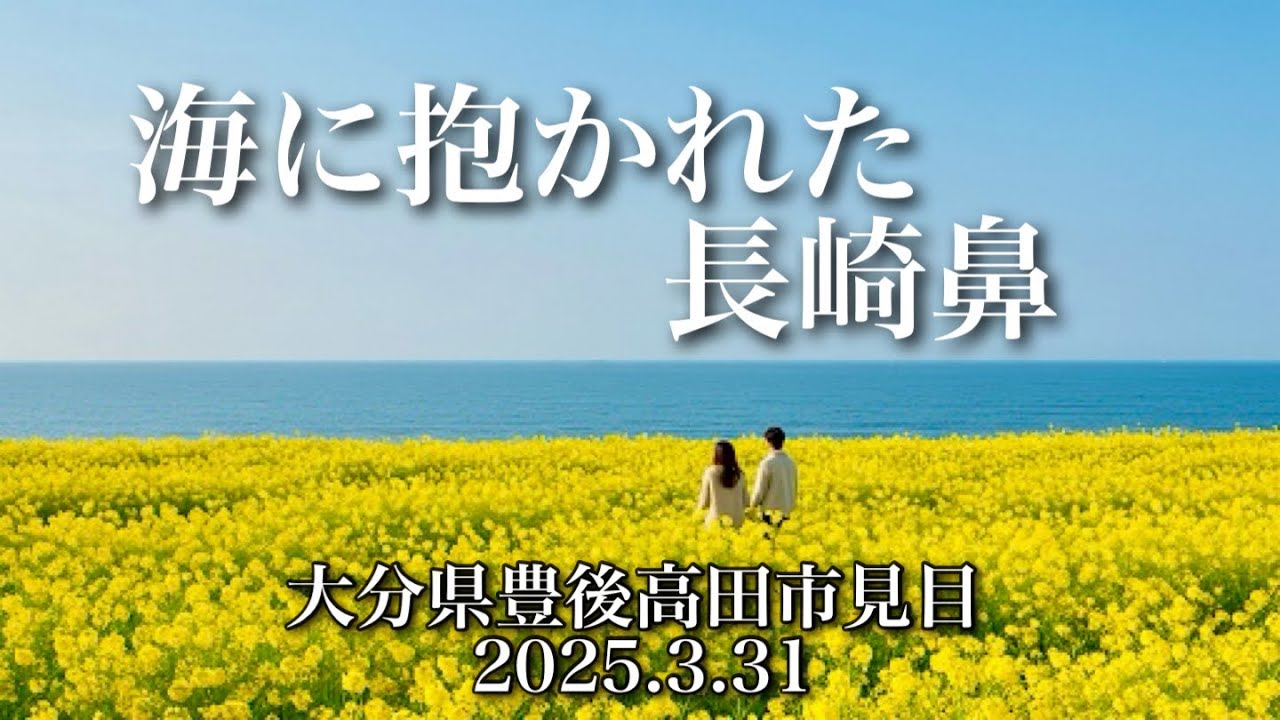 「海に抱かれた長崎鼻」　早朝に撮影をしました 。大分県豊後高田市見目