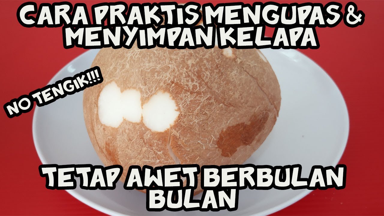 Cara Menyimpan Kelapa Tetap Awet berbulan bulan..No Tengik..