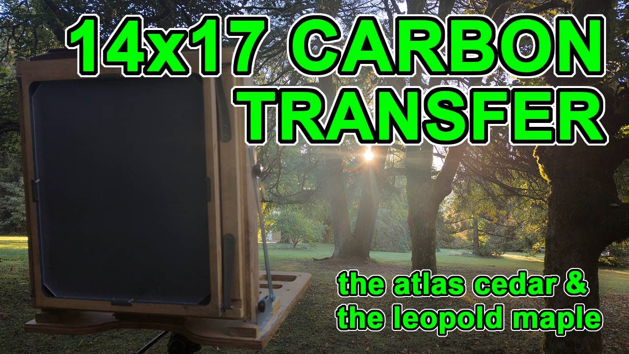 14x17 карбоновая печать