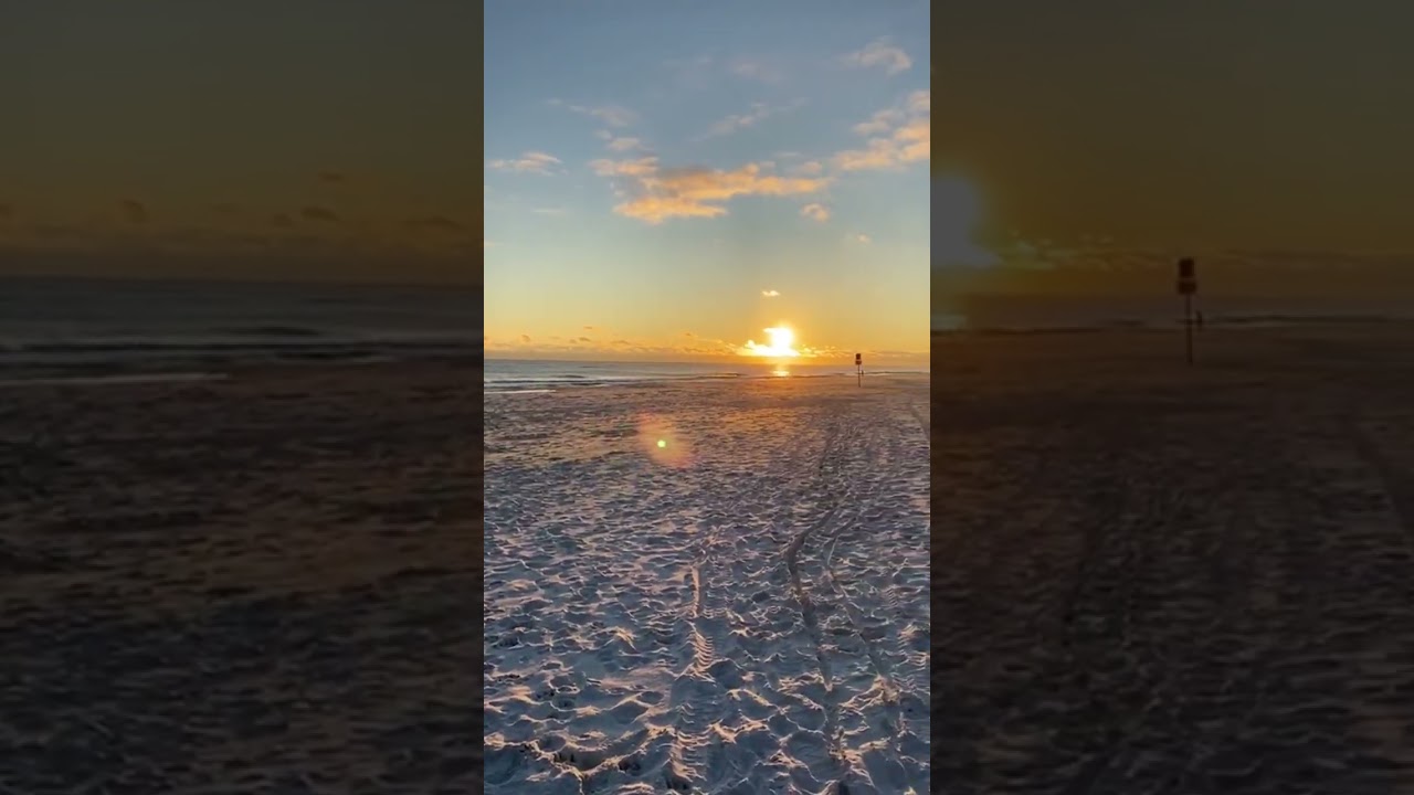 The white sand beaches of the Florida Panhandle 😍 