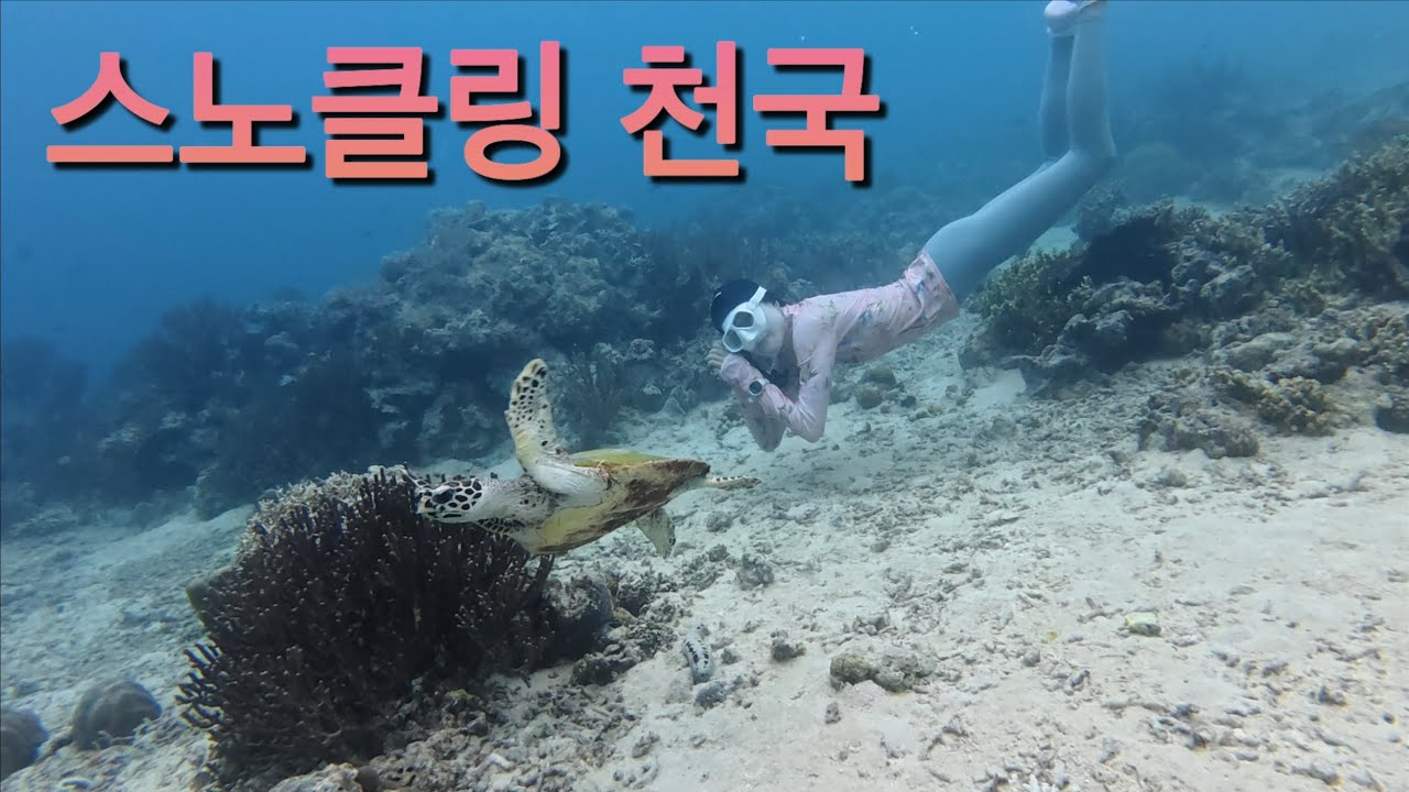 몰디브 느낌인데 가성비 좋은 발리 최애 리조트를 만나다.