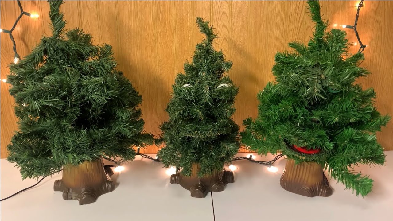 3 Different Douglas Firs