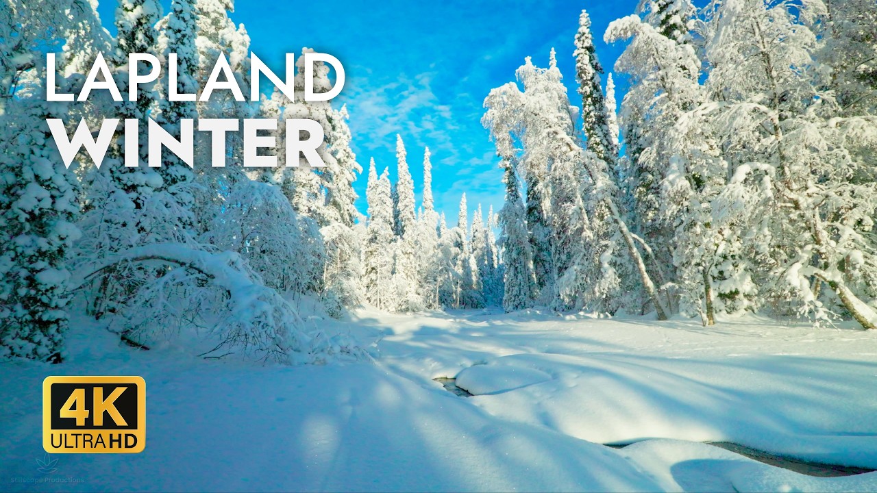 Lapland Winter 4K – Winter Forest Water Flow - Relaxing Nature Sounds for Sleep & Focus - 3 Hours