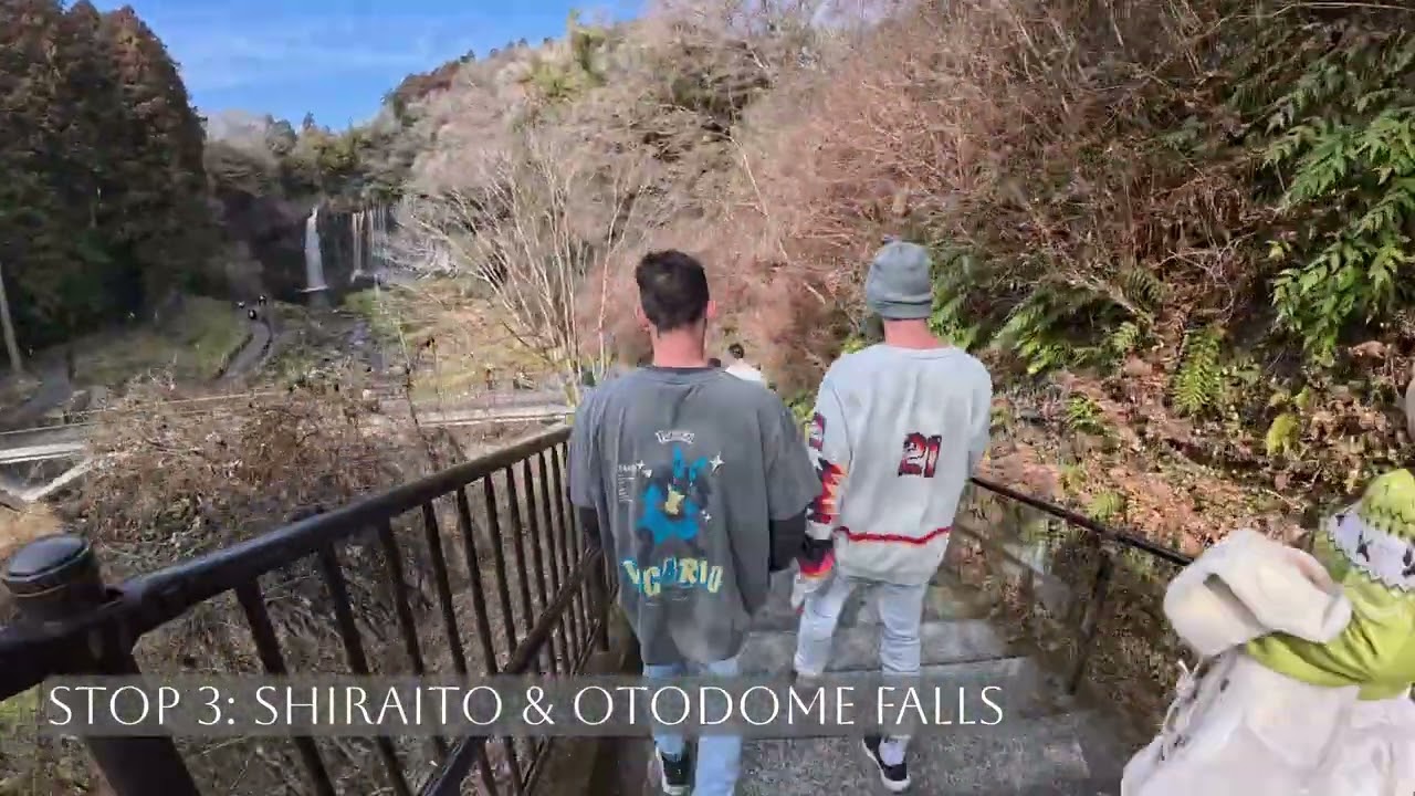 Japan Vlog (Day 4 - Tokyo): Mt Fuji Day Trip