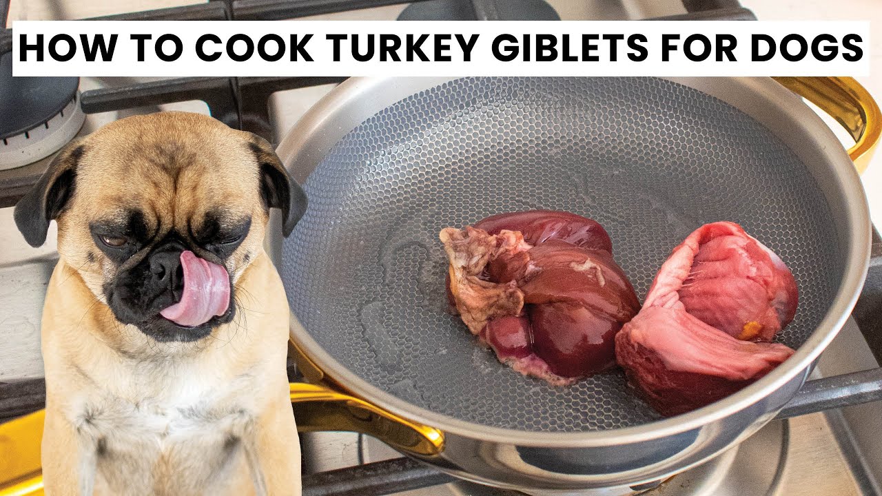How to Cook Turkey Giblets for Dogs | Healthy, Easy Homemade Recipe!