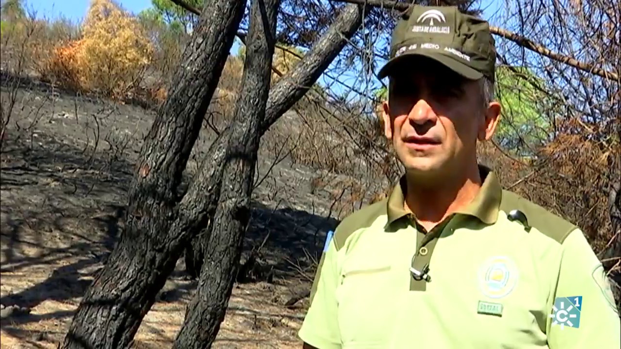 Tierra y Mar | Todo sobre el incendio de Doñana