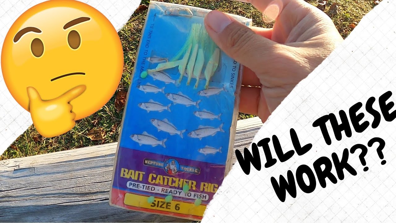 SABIKI rig doing some DAMAGE!! | Try THESE when castnet is not WORKING
