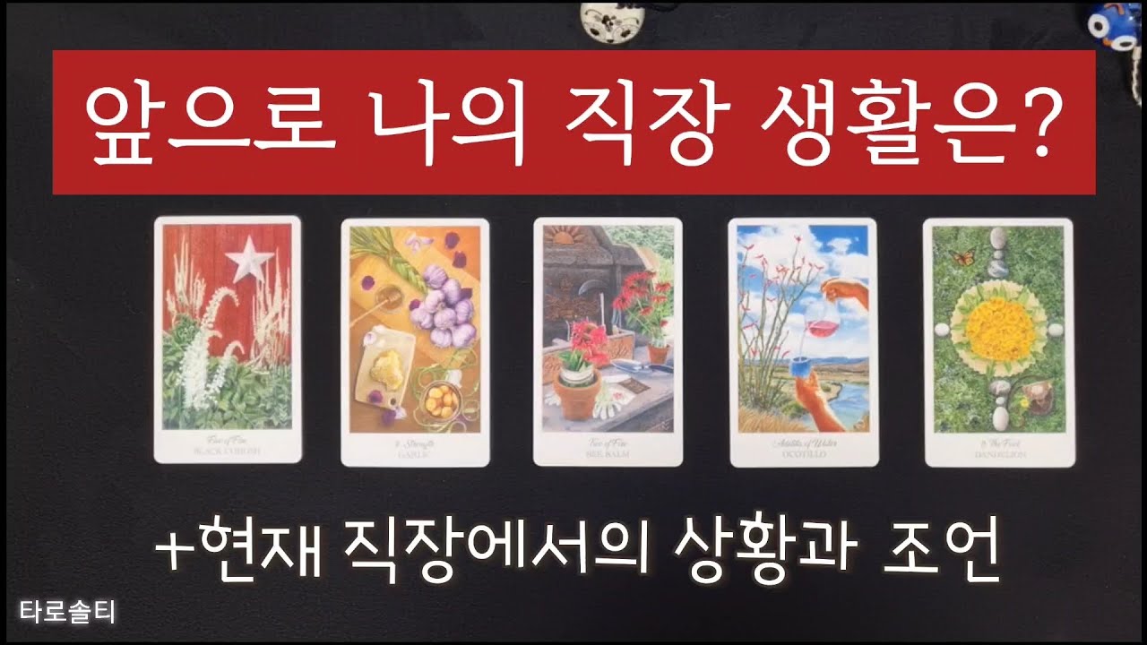[타로카드/직장운] 앞으로 나의 직장 생활은 어떻게 될까? 회사 생활의 앞으로 흐름은? (+현재 직장에서의 상황과 처세 조언)