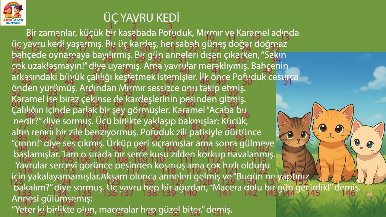 1, 2, 3 ve 4. Sınıf Süreli Okuma-Hızlı Okuma -1 dk Okuma- ÜÇ YAVRU KEDİ