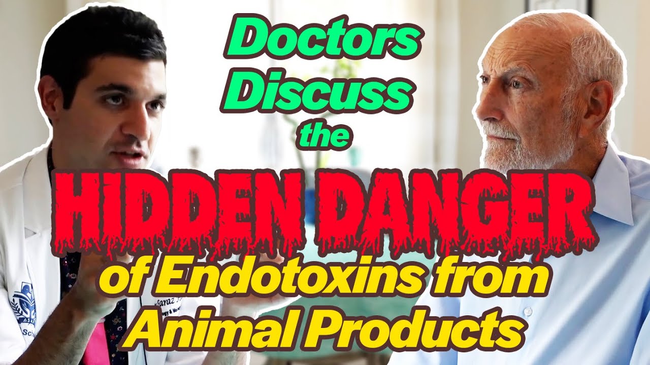 Doctors Discuss the Hidden Danger of Endotoxins from Animal Products