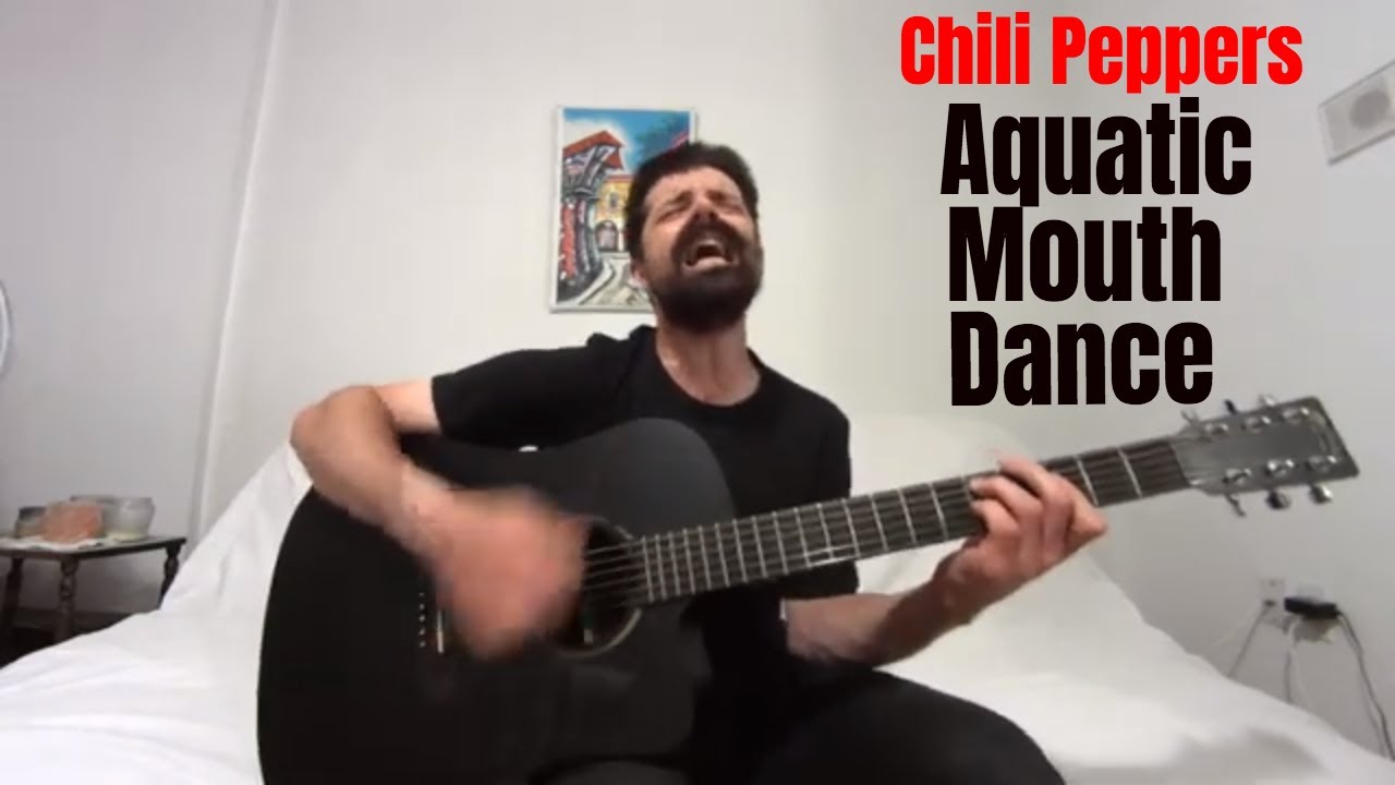 Aquatic Mouth Dance - Red Hot Chili Peppers [Acoustic Cover by Joel Goguen]