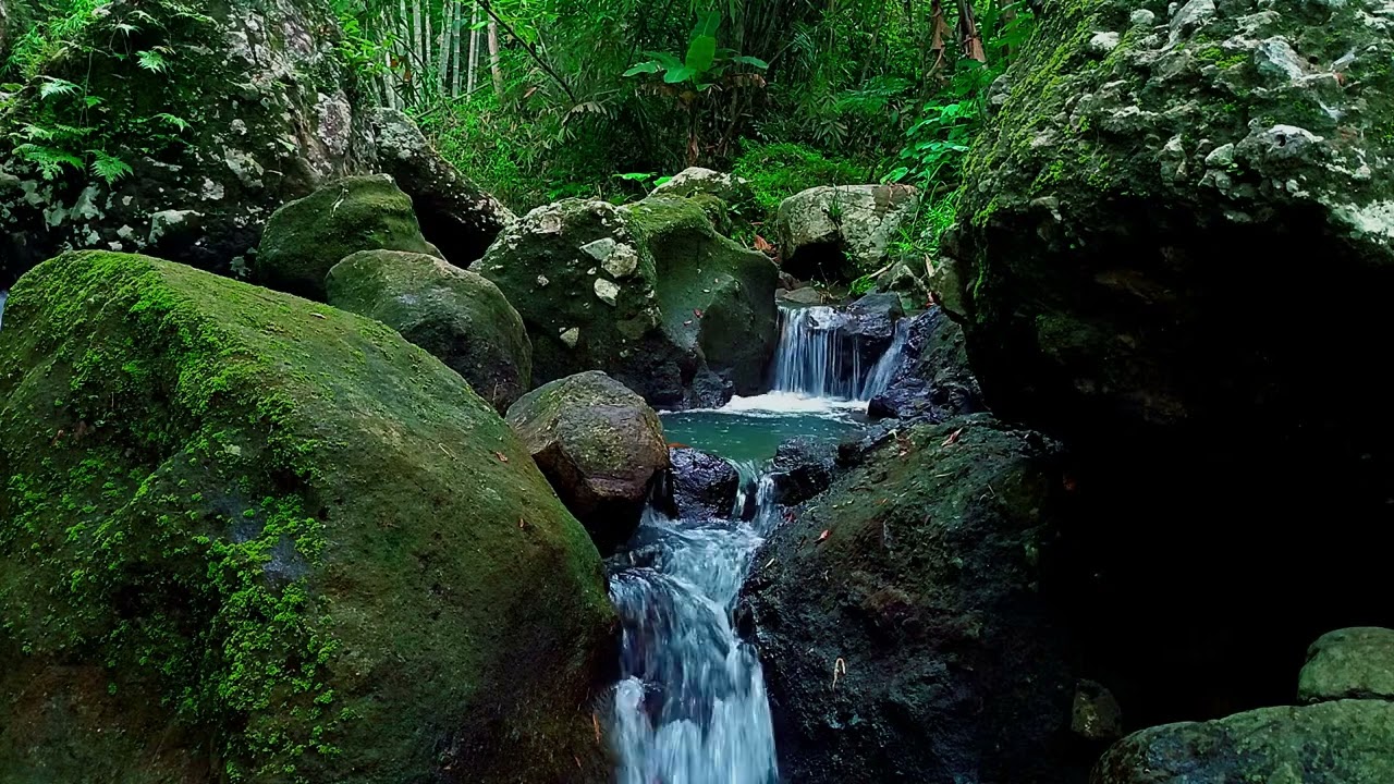 Calming River Soundscape, Nature's Lullaby for Stress Relief, Meditation, Focus and Deep Sleep