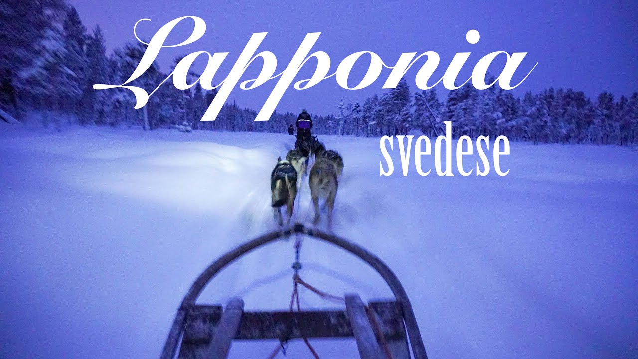 🇸🇪 LAPPONIA svedese 🇸🇪Cosa fare e vedere in 5 giorni [Vlog ITA]