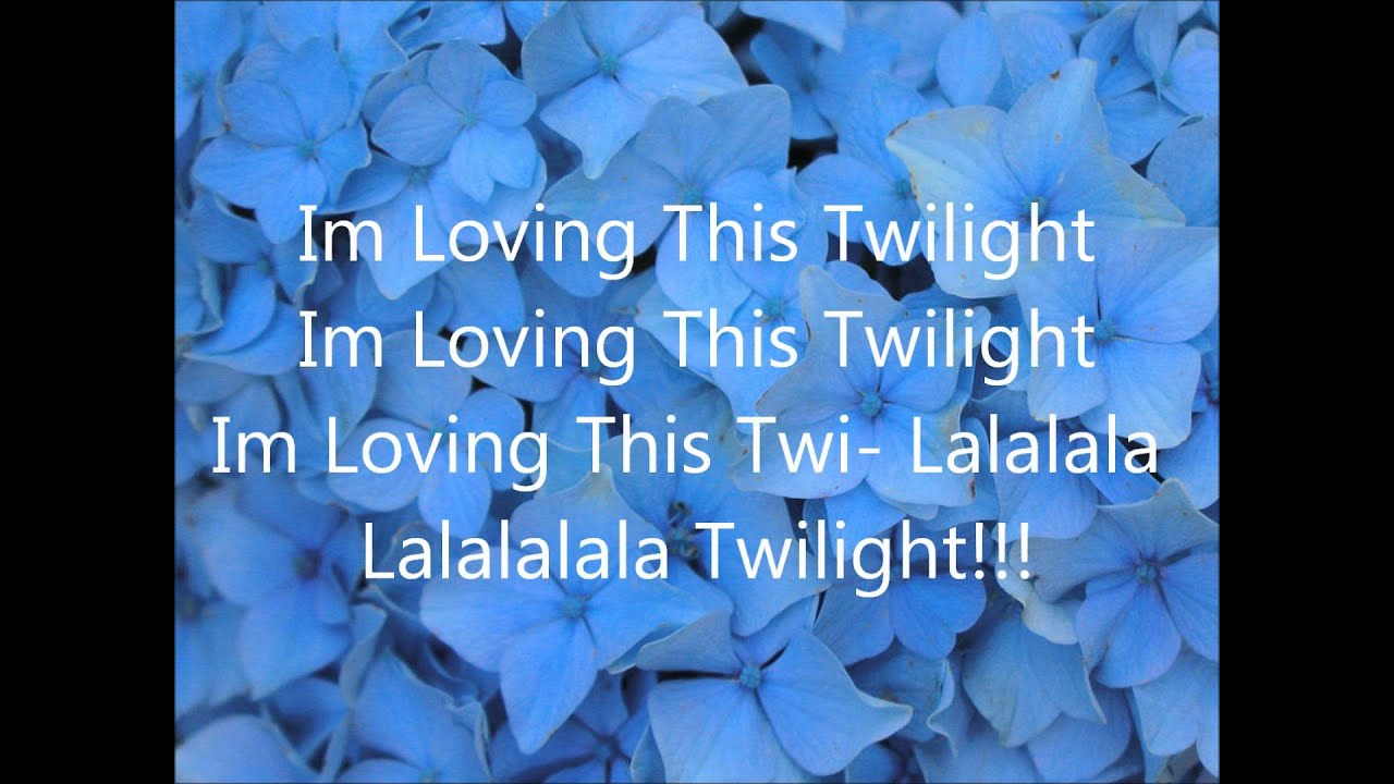 Cover Drive - Twilight Lyrics