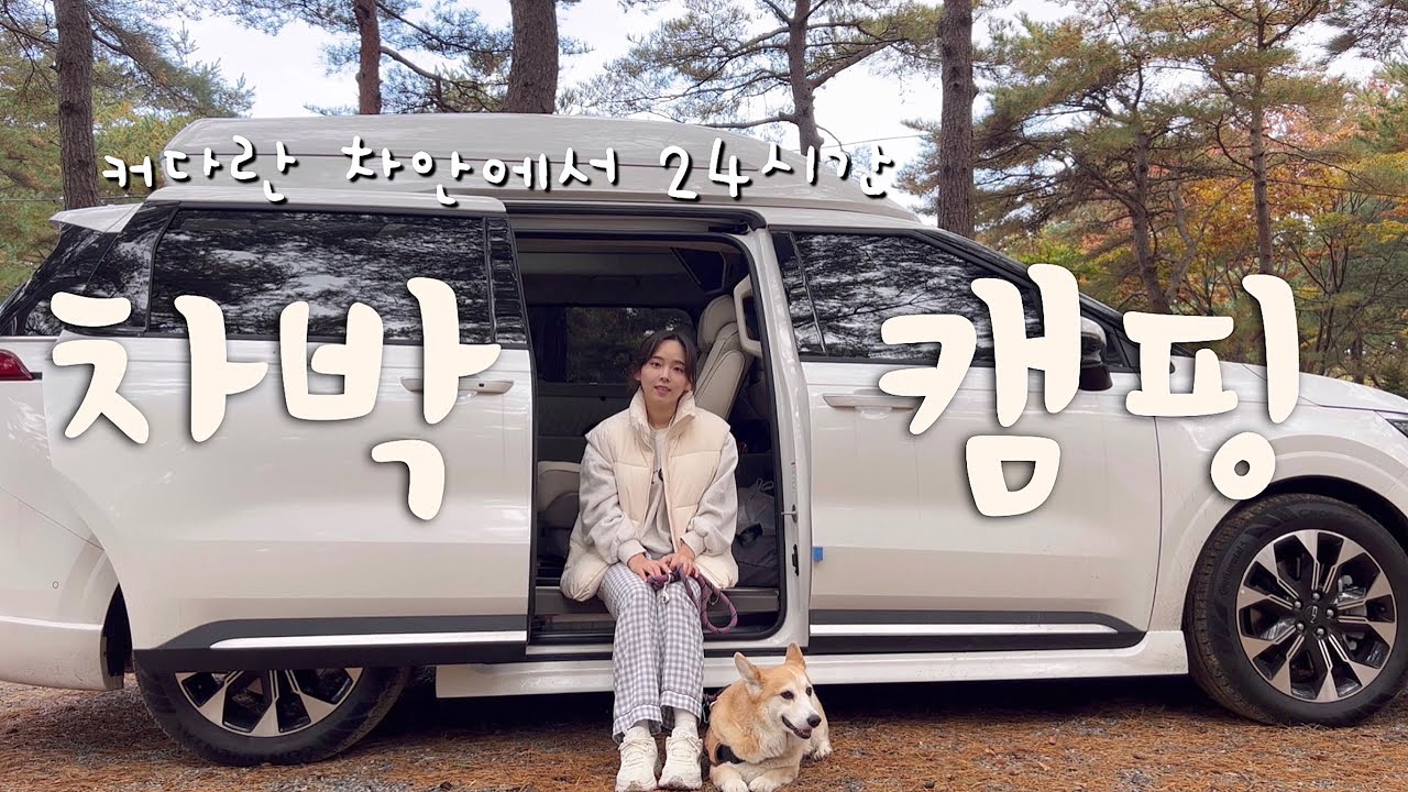 커다란 차 안에서 24시간ㅣ개조된 카니발에서 차박하기ㅣ양양 월든캠프 캠핑장ㅣ솔로 캠핑