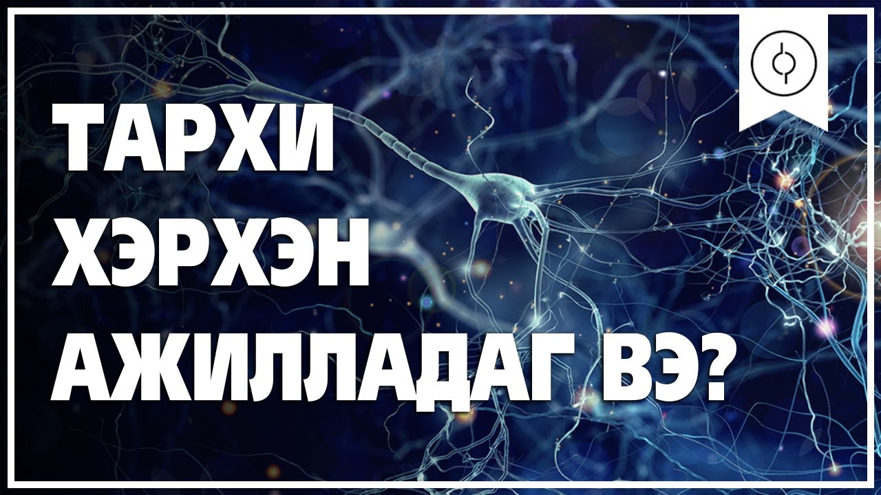 Тархи хэрхэн ажилладаг вэ? - 