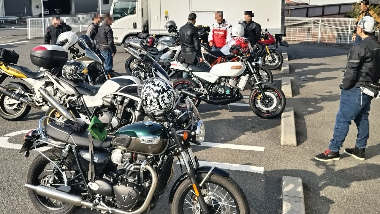 下北山村 スポーツ公園 桜 和歌山