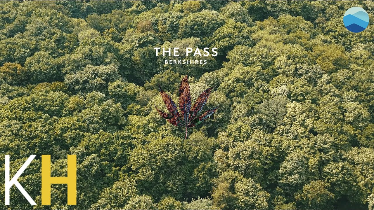 Pull up to The Pass: A local weed dispensary rooted in community