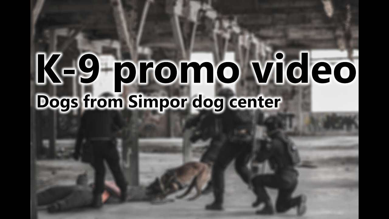 K9 Promo video - dogs from Simpor Training Center