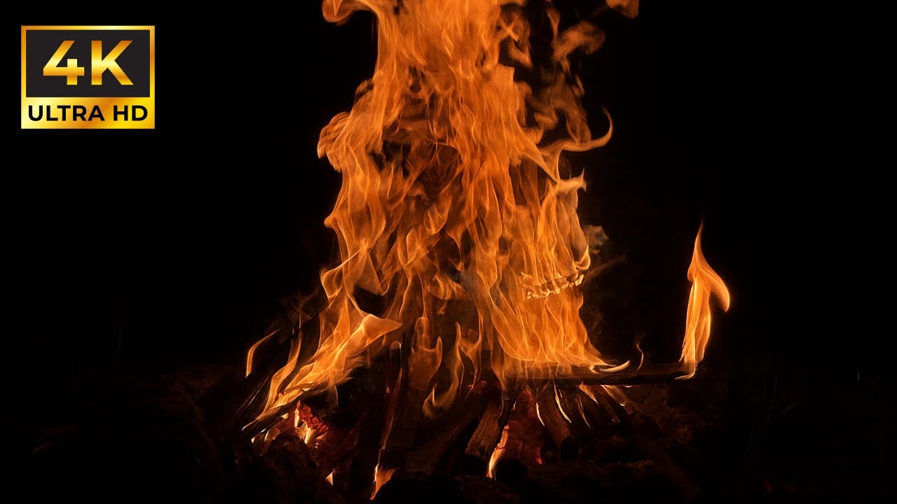 Escape to a Wilderness Cabin: Gentle Fire Crackling and Distant Night Sounds for Sleep