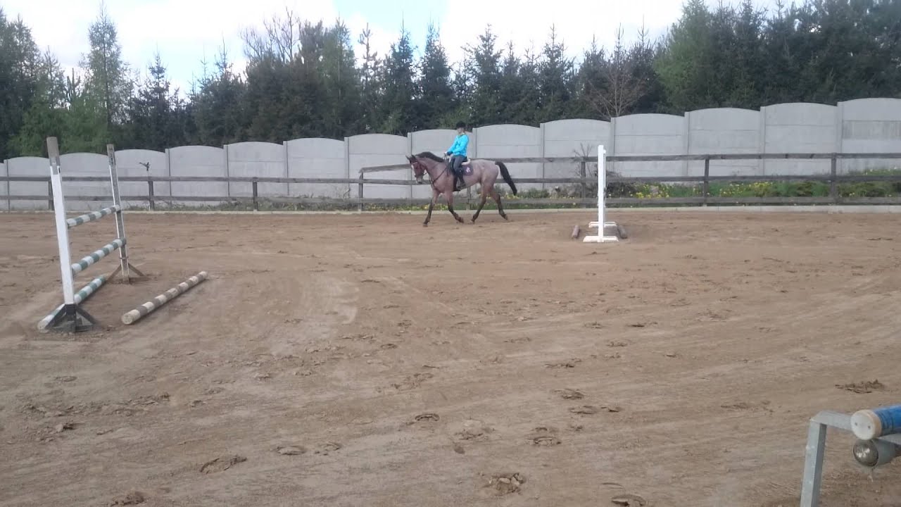 Jazda na Magii 02.05.2015