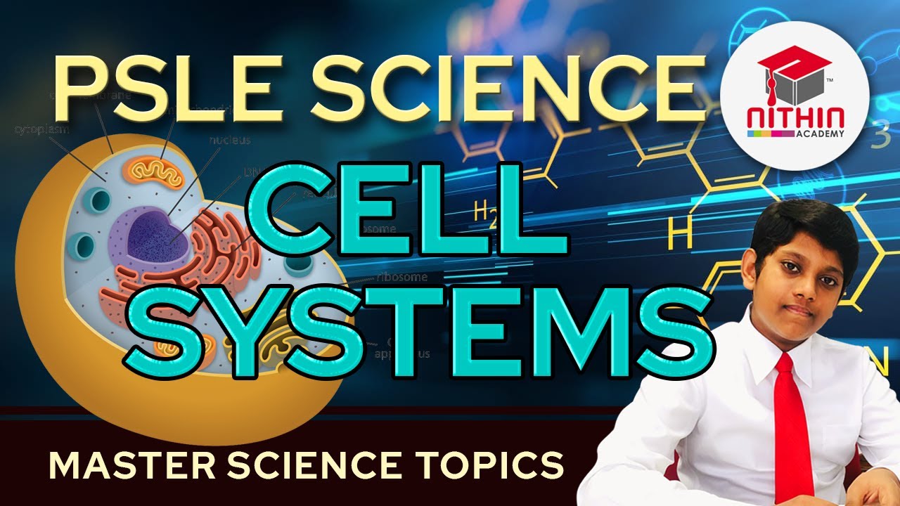 PSLE SCIENCE | CELL SYSTEMS |  Primary 5 & 6 Singapore | Master Science Topics