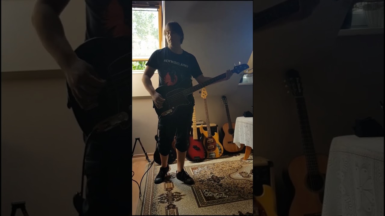 Kill Shelter & Antipole - A Kiss in the Rain -bass cover