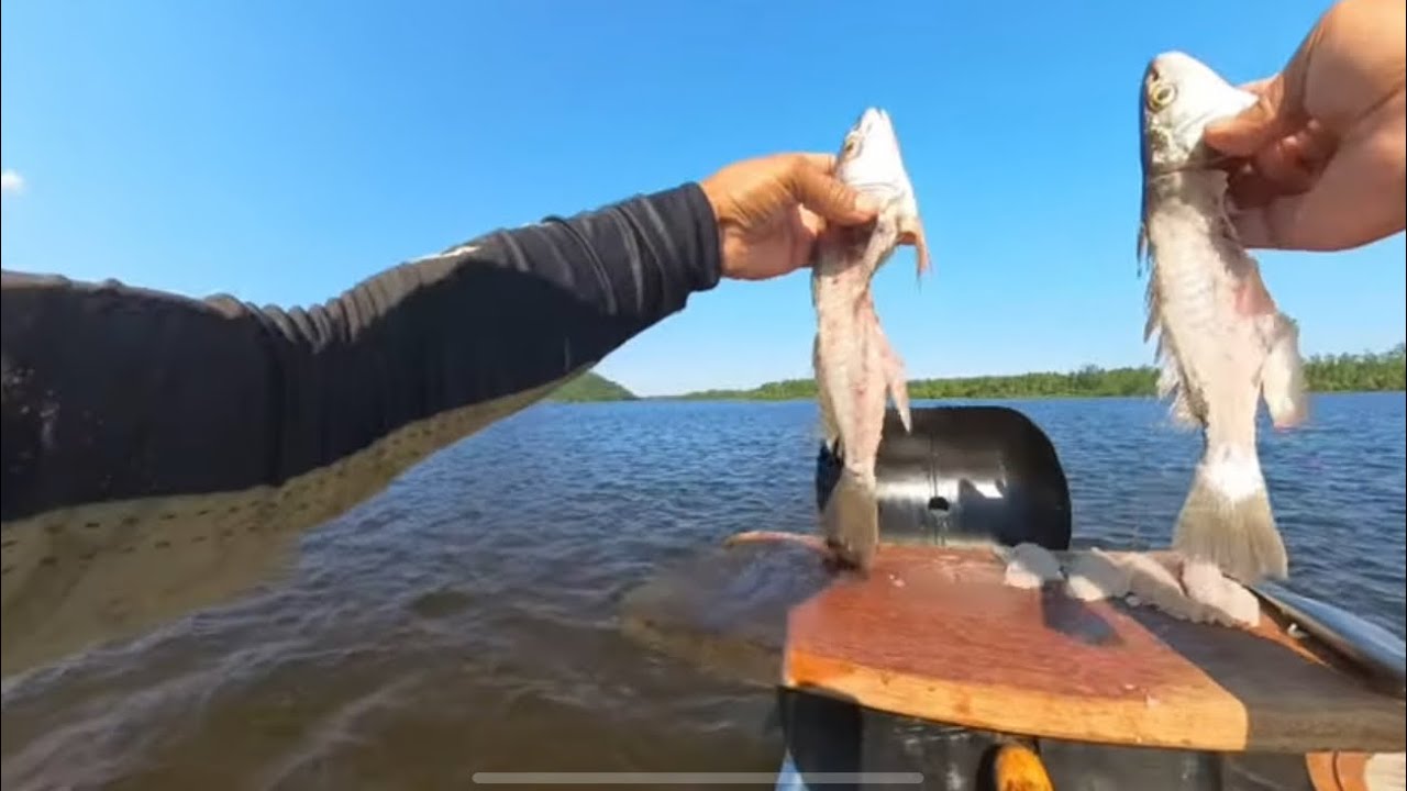 Duas Dicas de como Pegar Peixe Rápido