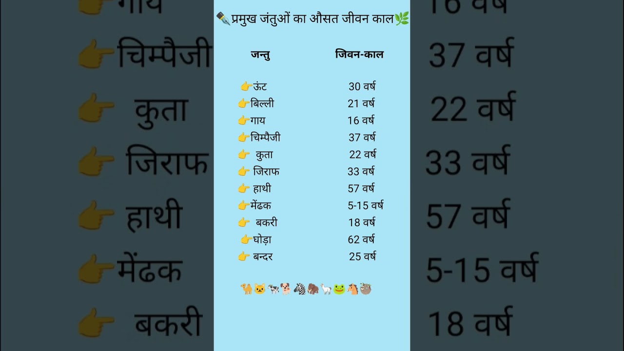 All QUESTION MOST IMPORTANT QUESTION #and ANSWERS #ssc#sschsl#knowledge #gk #indian #ias#shorts
