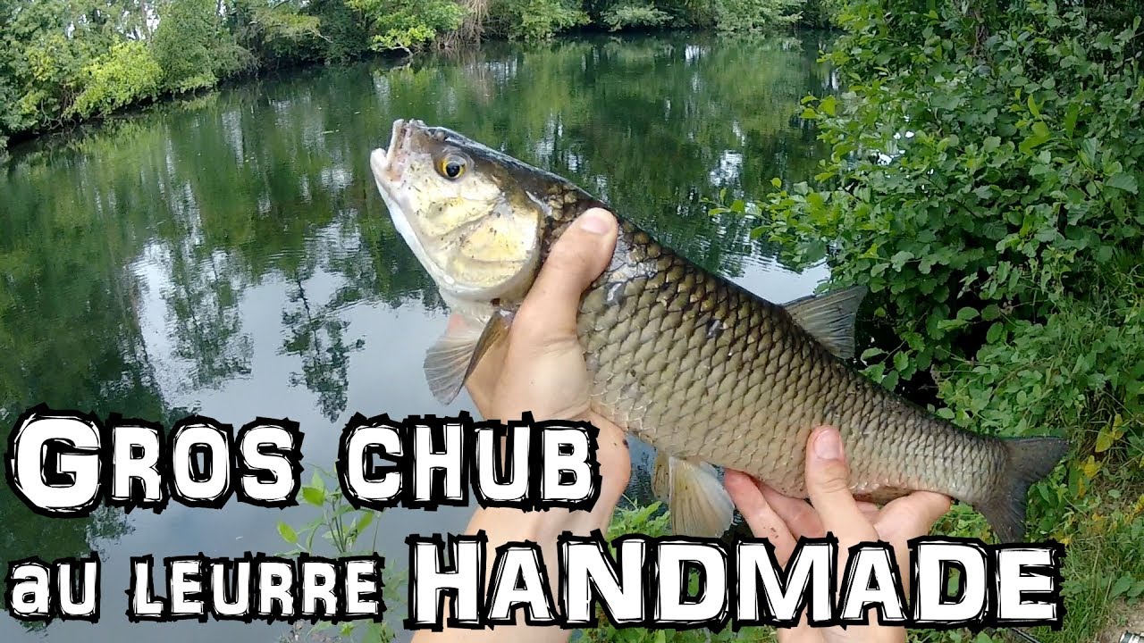 Premier gros chevesne au leurre HANDMADE - Chub 2017 #1