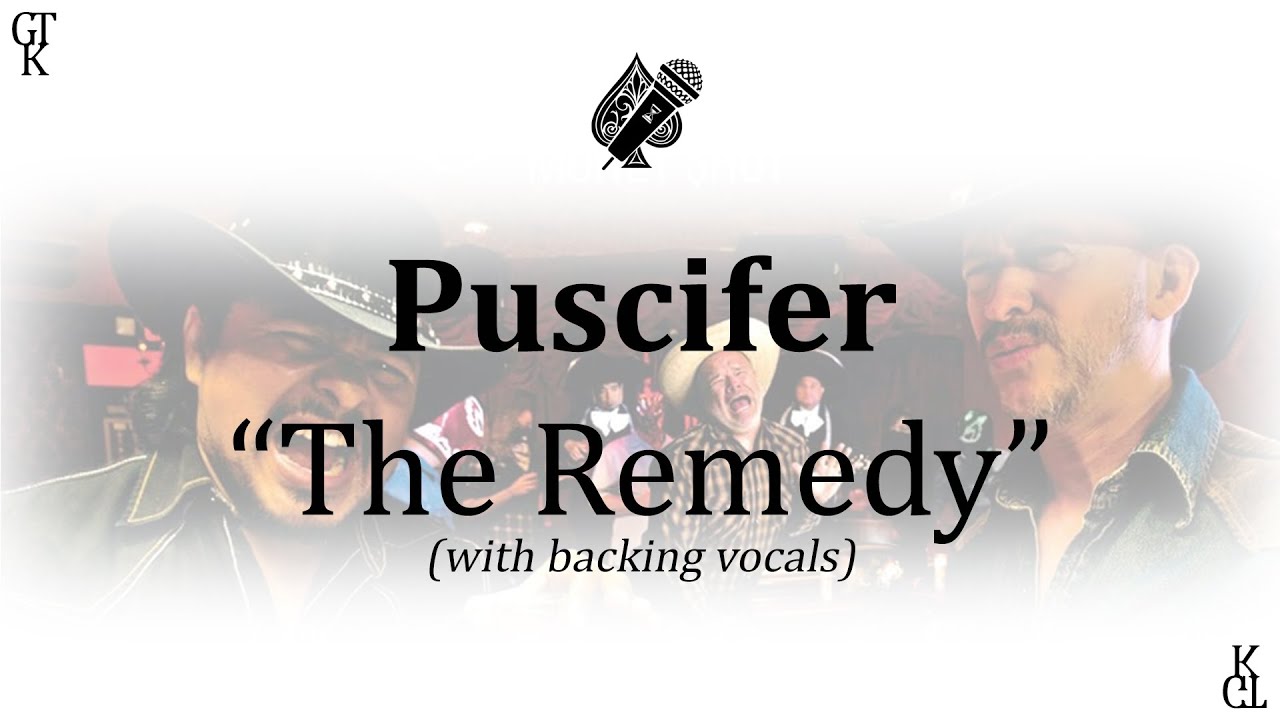 Puscifer - The Remedy (karaoke) (with backing vocals)