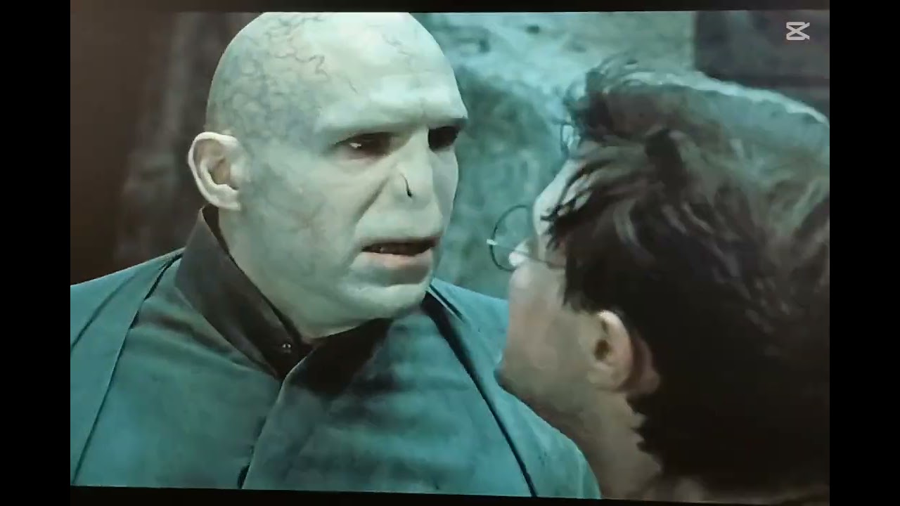 Harry Potter deathly hallows 2 //Let the world Burn✨️🪄🔥