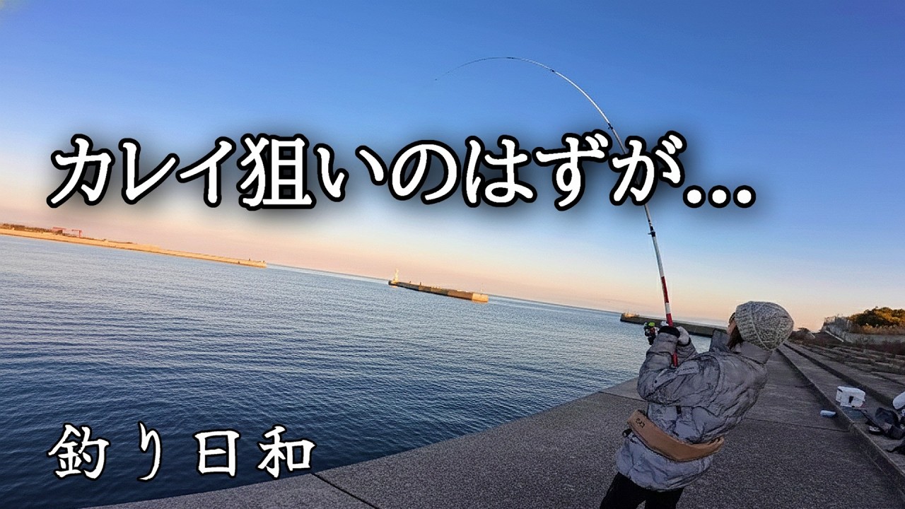 【冬の堤防】本命はカレイ。でも、高級餌と自作仕掛けが引き起こした爆釣の結末！